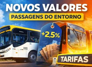 Passagens-de-onibus-ficam-mais-caras-no-Entorno-Sul-a-partir-de-22-de-fevereiro-veja-valores-em-Luzi.jpeg