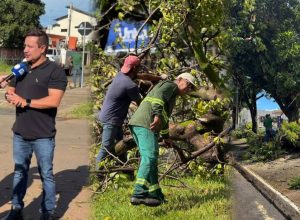 Temporal-causa-prejuizos-derruba-mais-de-20-arvores-e-mobiliza-acao-imediata-da-Prefeitura-de-Luzian.jpeg