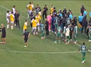 gamax-asa.jpg